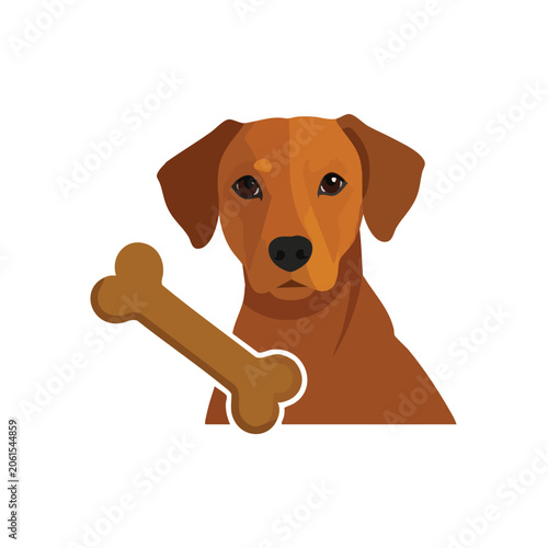 A cute brown dog holding a bone illustration.