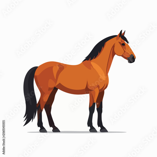 A beautiful brown horse standing in profile isolated on white background.