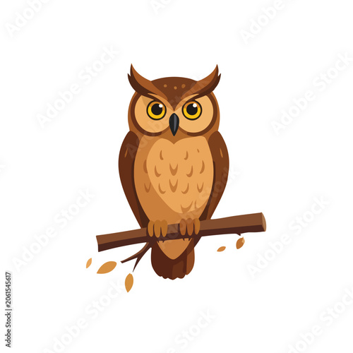 A cute cartoon owl perched on a branch looking forward.