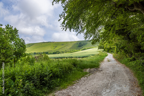 A pathway leading towards Firle Beacon in Sussex, on a summer's day