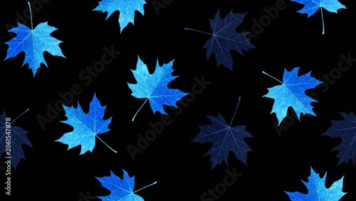 Billede på lærred Seamless pattern of blue maple leaves scattered on a solid black background, fea