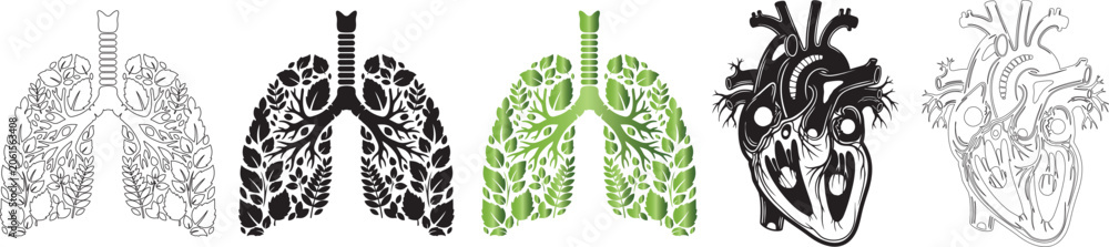 Fototapeta premium Diverse illustrations of stylized lungs and human hearts isolated on transparent background