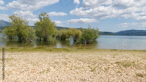 Scenic lake with flooded trees and mountain landscape in the background