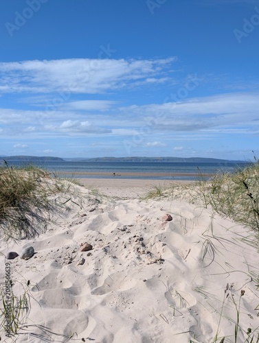 sand dunes on the beach