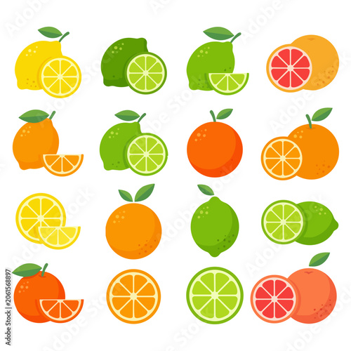 premium citrus flast vector set