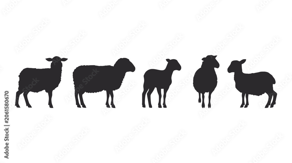 Obraz premium Diverse sheep silhouettes standing in a line against a white background.