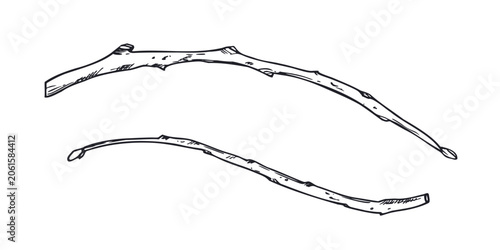 Canvastavla Two bare tree branches linear drawing