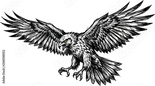 Foto Eagle in Flight, Majestic Bird of Prey with Open Wings, Detailed Sketch