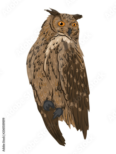 Eurasian eagle-owl bird vector illustration. Cute bubo bubo character sitting isolated on white background. Exotic forest wildlife animal predator clipart, icon, badge for print graphic design
