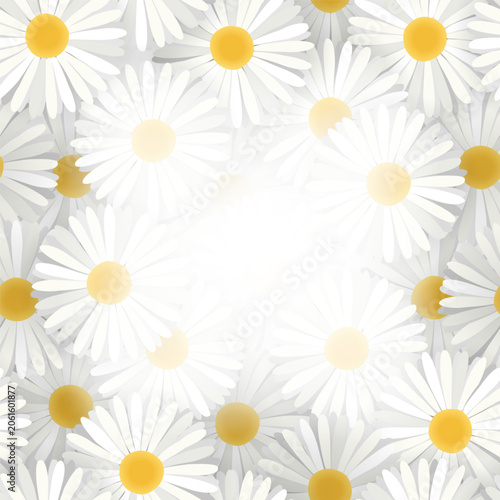 Flower frame with daisies on beige background.