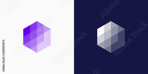 Geometric hexagon vector logo design with a modern, simple, clean, and abstract style. Icon for business, technology, and personal branding.