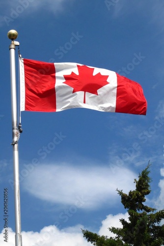 Canadian Flag Waving