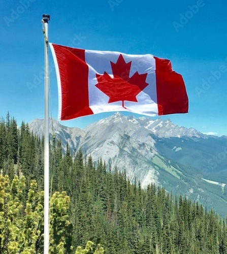 Canadian Flag Waving