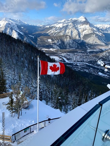 Canadian Flag Waving