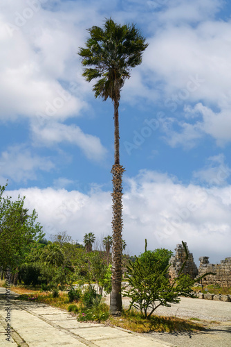Ruins of the ancient city of Perge, Turkey