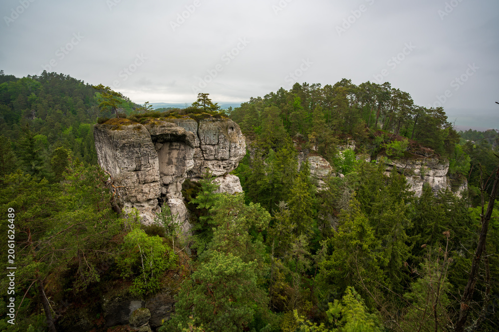 Fototapeta premium Rock city formations in Hruboskalsko, Bohemian Paradise (Cesky raj), Czech Republic, with peaks of giant sandstone rocks and cliffs emerging from light morning mist panoramic view