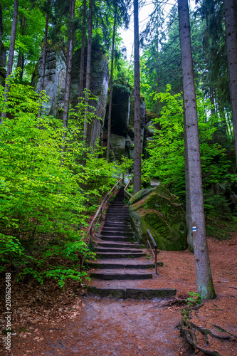 Massive sandstone rock formations along a forest trail in Bohemian Paradise (Cesky raj), Hruba Skala area (Hruboskalsko), Czech Republic, with giant stones rising above woodland path