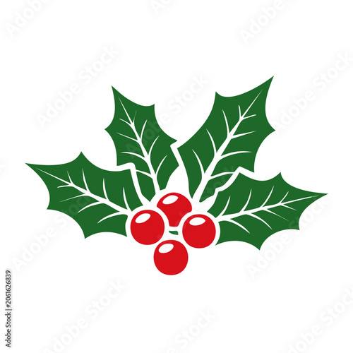 Holly leaf and berries vector illustration