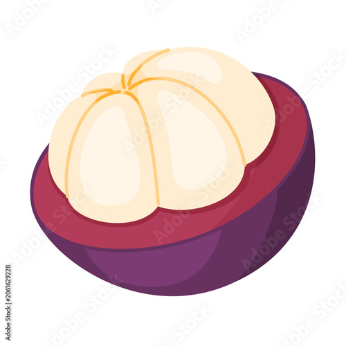 Tropical mangosteen fruit cross section with fresh white segments and purple rind. Hand drawn flat style isolated illustration for exotic food packaging, juice labels, healthy lifestyle branding.