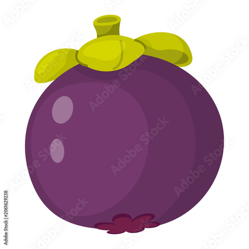 Whole tropical purple mangosteen fruit with green stem and calyx. Hand drawn trendy flat style isolated illustration for menus, exotic food packaging, organic cosmetics, and healthy lifestyle branding