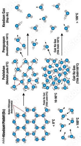 Water molecule states and phase transitions.