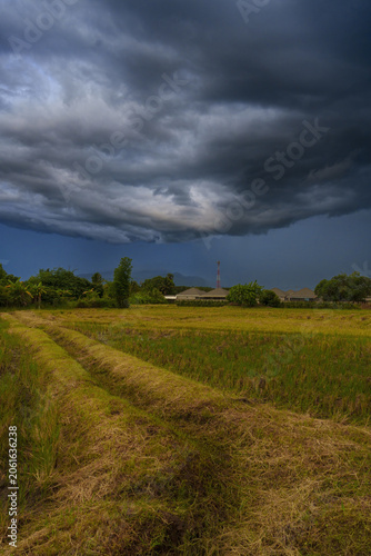 Storm cloud dark sky rice field rural landscape moody weather agriculture countryside overcast dramatic sky Dark clouds during the rainy season