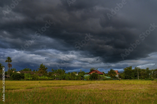 Dark cloud stormy sky rural landscape green field tropical trees house overcast weather dramatic sky nature Dark clouds during the rainy season