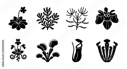Fényképezés Carnivorous Plant Silhouettes, Botanical Vector Icons, Insectivorous Flora Colle