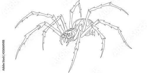 Bild auf Leinwand Continuous one line drawing of spider, minimalist arachnid vector illustration
