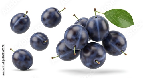 Fresh black plums with green stem and leaf isolated on white background