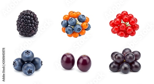 Assortment of fresh berries blackberry blueberry gooseberry redcurrant grape varieties
