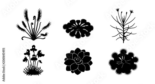 Vászonkép Botanical Silhouettes: Diverse Succulent and Carnivorous Plant Vector Icons, Bla