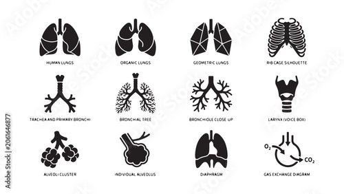Bild auf Leinwand Human Respiratory System Anatomy Icons Set - Lungs, Trachea, Bronchi, Alveoli, L