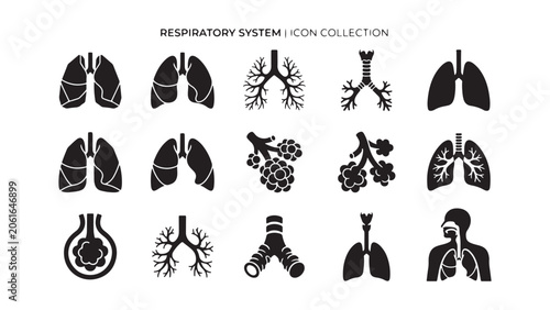 Detailed Respiratory System Anatomy Icons Collection - Lungs, Trachea, Bronchi, Alveoli