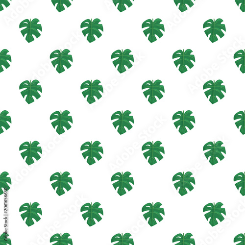 Green tropical monstera leaves creating a seamless pattern on a white background