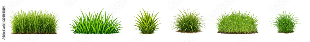 Fototapeta premium PNG Variety of lush green bushes on transparent background