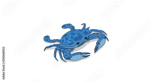 Blue crab vector illustration isolated on white background