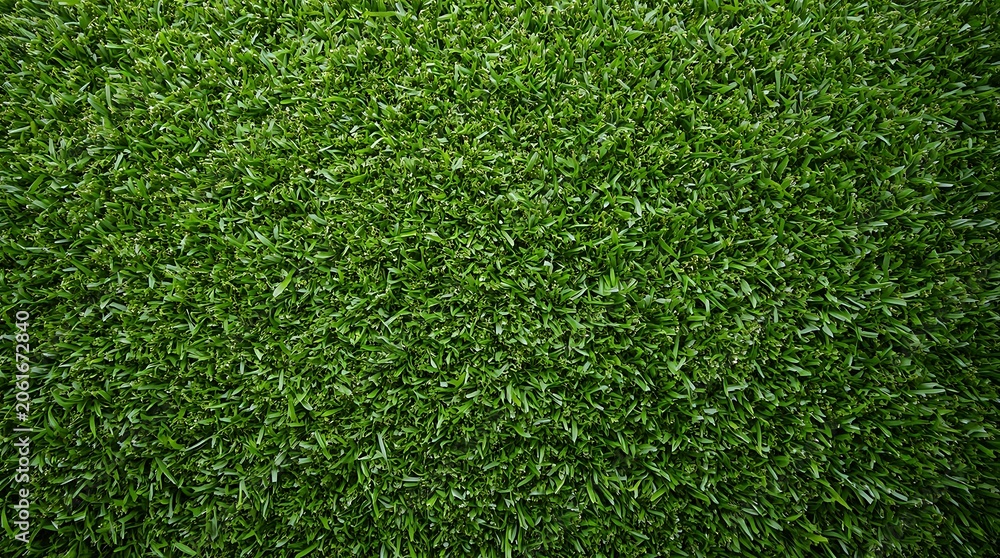 Fototapeta premium Lush Green Artificial Grass Texture for Backgrounds and Design.