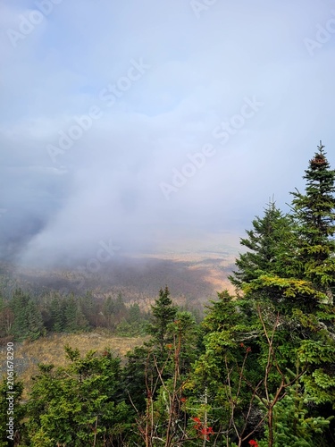 Misty mountain landscape with low clouds over evergreen pine forest hills on a cool autumn day, panoramic view from high peak.