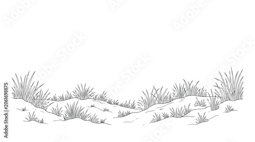 Foto Hand drawn grass on sand dunes vector illustration, vintage line art coastal lan