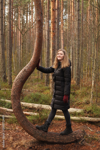 Fairytale atmosphere: a walk through a mysterious coniferous forest in autumn