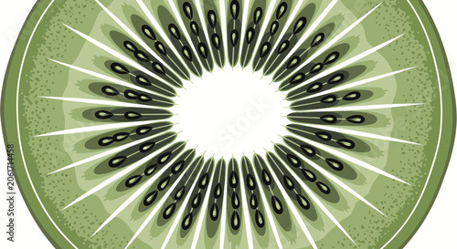 A vector illustration of a whole kiwi fruit with fuzzy texture effect