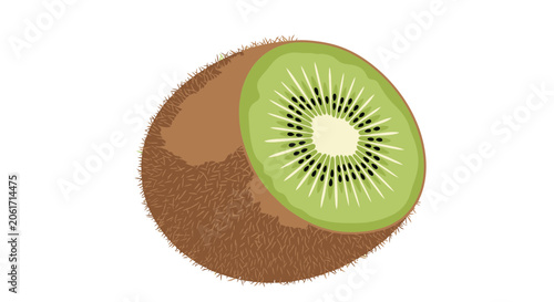 A detailed illustration of a cut kiwi fruit showing its fuzzy brown skin and green interior with black seeds