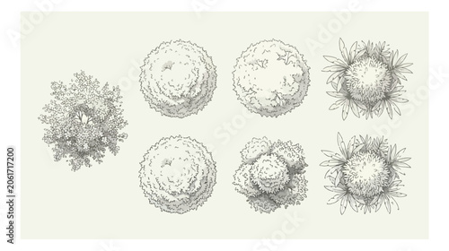 Photos Vintage hand drawn landscape trees top view, architectural garden plan symbols v
