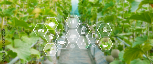 Smart agriculture and agritech concept. Hand using touching digital icons interface of modern farming technology, Agribusiness innovation and smart farming management. not ai