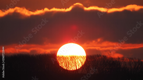 Bright sun disk setting behind dark silhouette of dense forest treeline with silhouette landscape background atmospheric beautiful sunlight wilderness