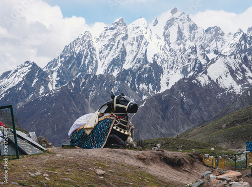 Tableau sur toile Nandi statue near Adi Kailash in Uttarakhand, India, a sacred pilgrimage destina