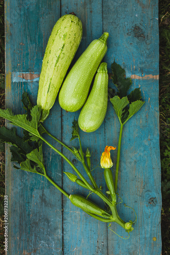 Harvest of zucchini top view on wooden surface