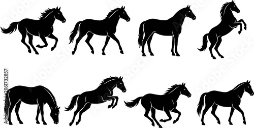 Bild auf Leinwand Horse silhouettes collection featuring running, standing, rearing, grazing, and