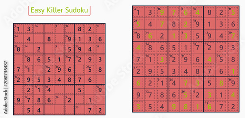 Easy Killer Sudoku puzzle grids with numbers and highlighted solutions  